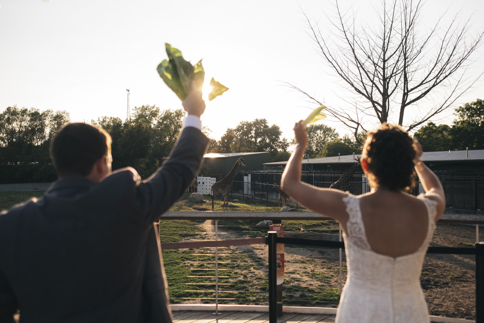 Emerald Wedding At The Malawi Event Center At Toledo Zoo