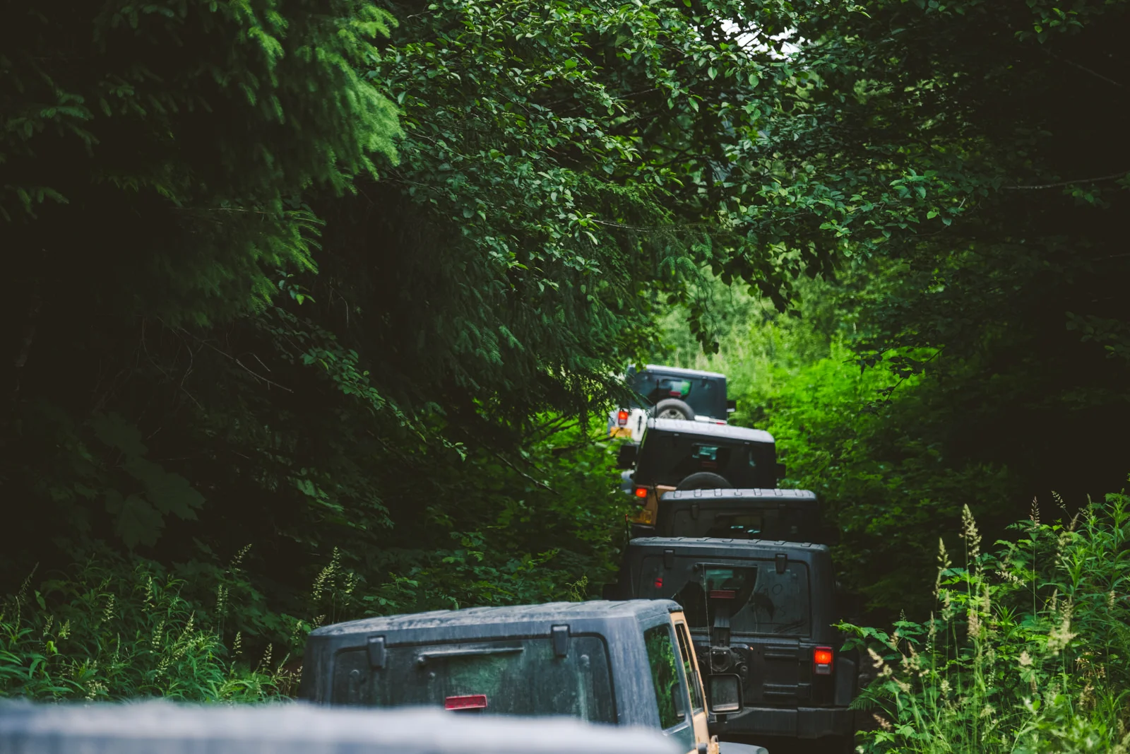 alaska travel experience blog