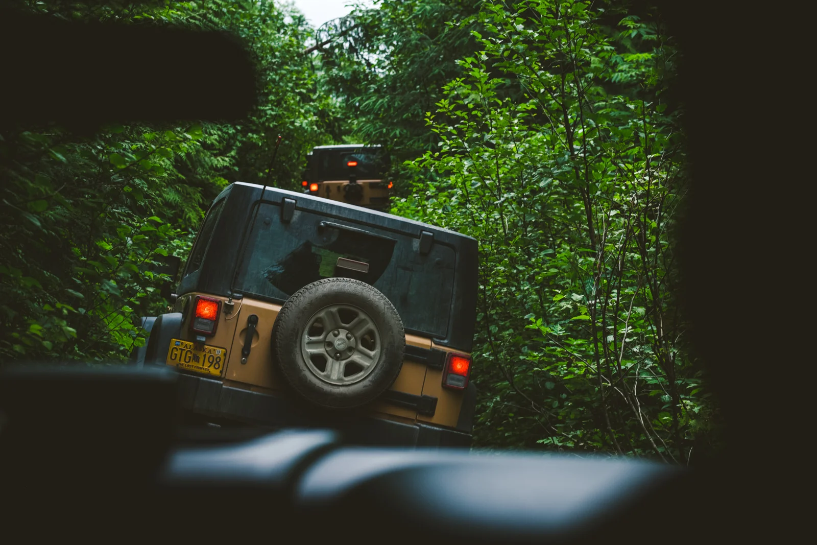 Toledo destination photographer in Alaska
