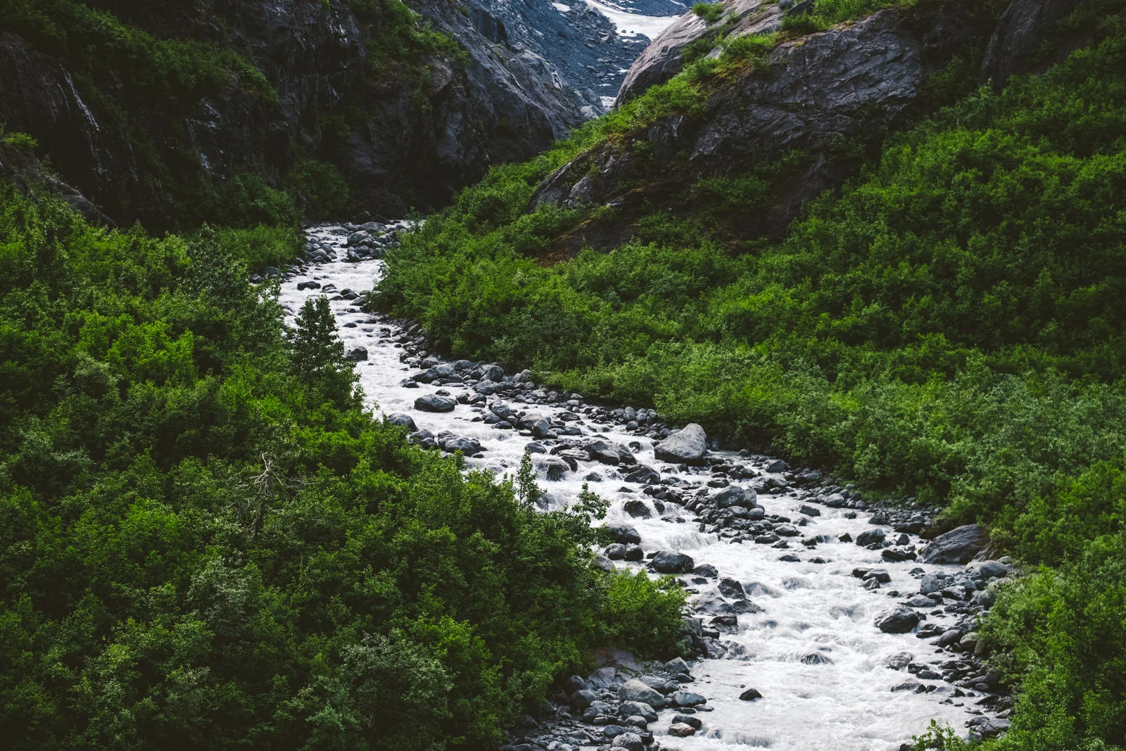 River detail taken by destination wedding photographers