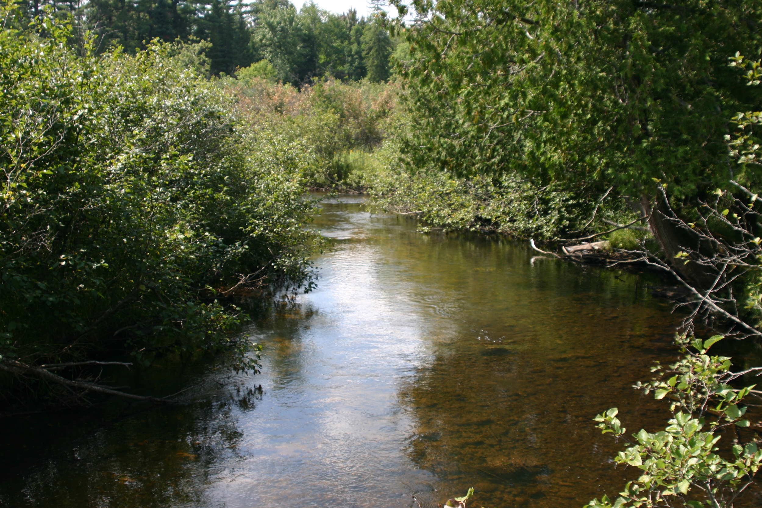 Black River
