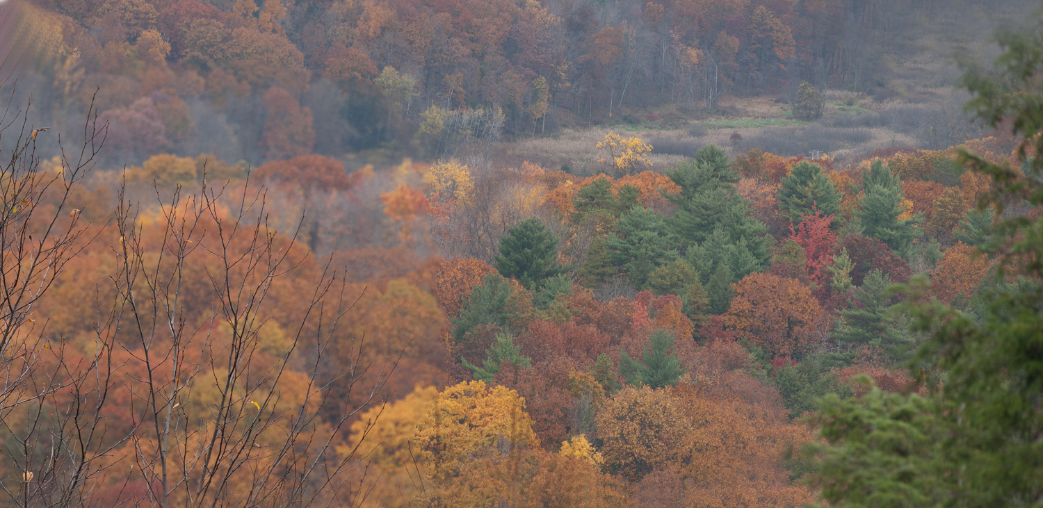 Mohonk - North Lookout: Fall