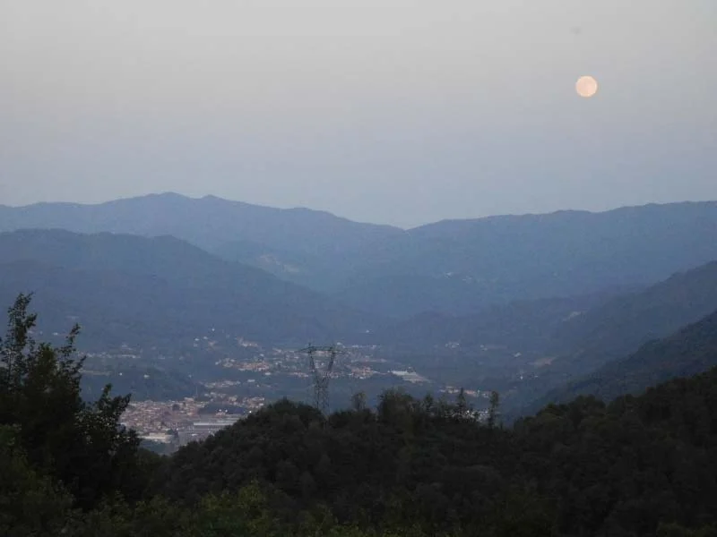 DSCN1901.jpg