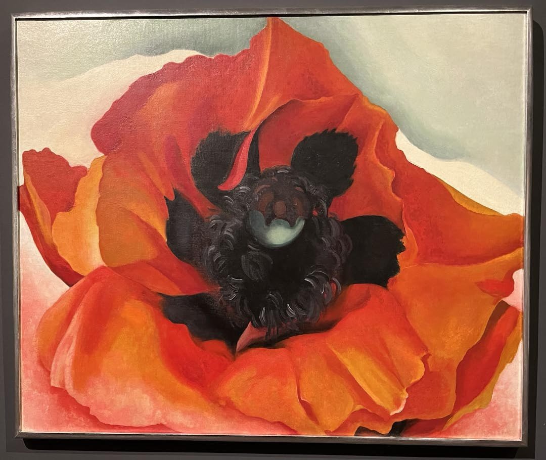 Photograph of a Georgia O'Keefe painting depicting a closeup of a poppy.