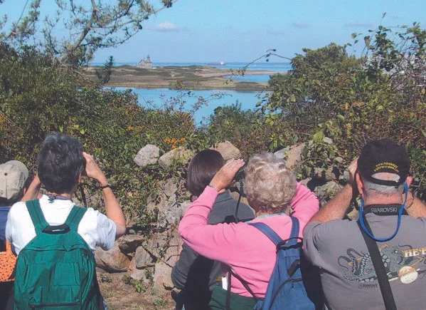 Birding.jpg