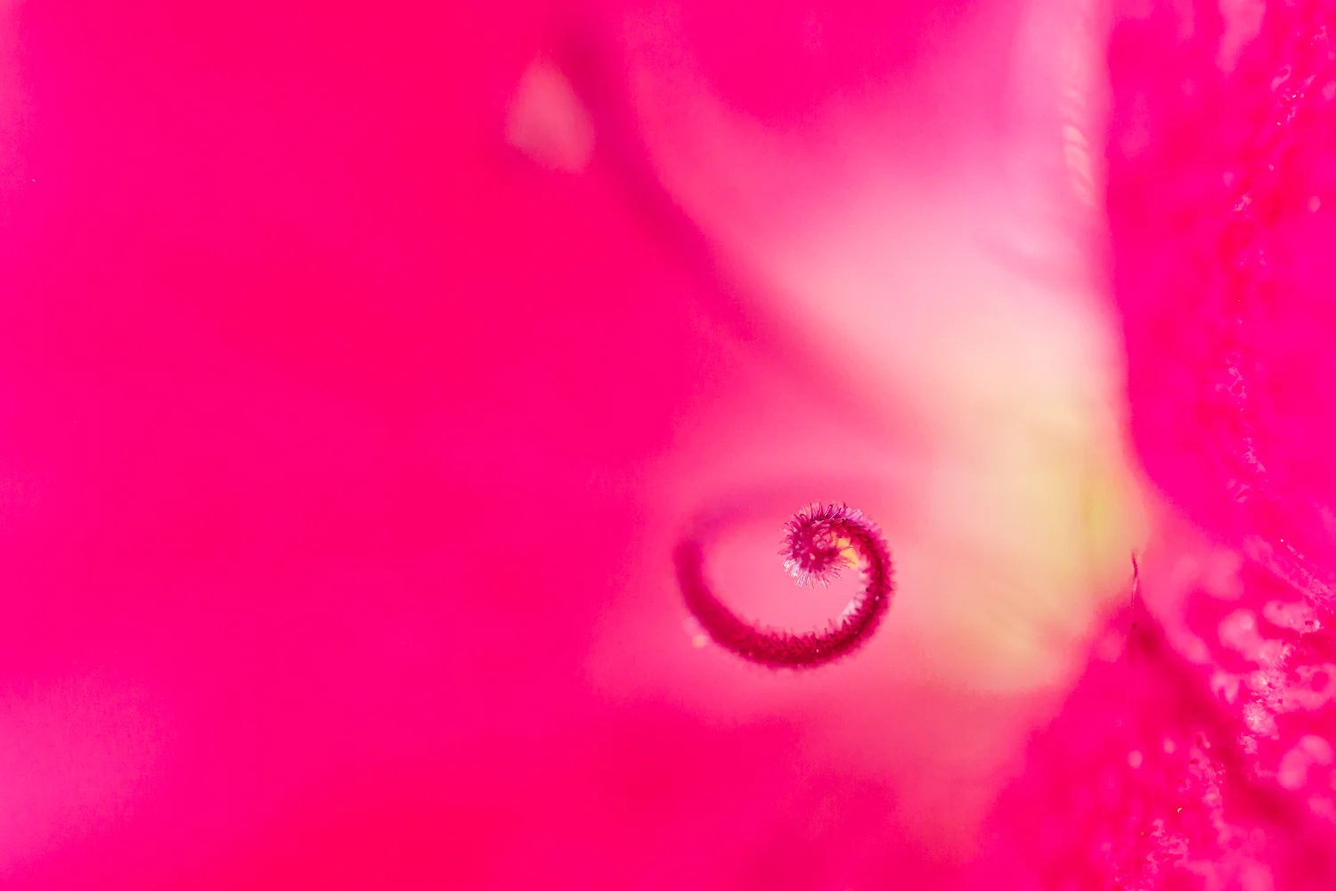 P7264312-2.jpg