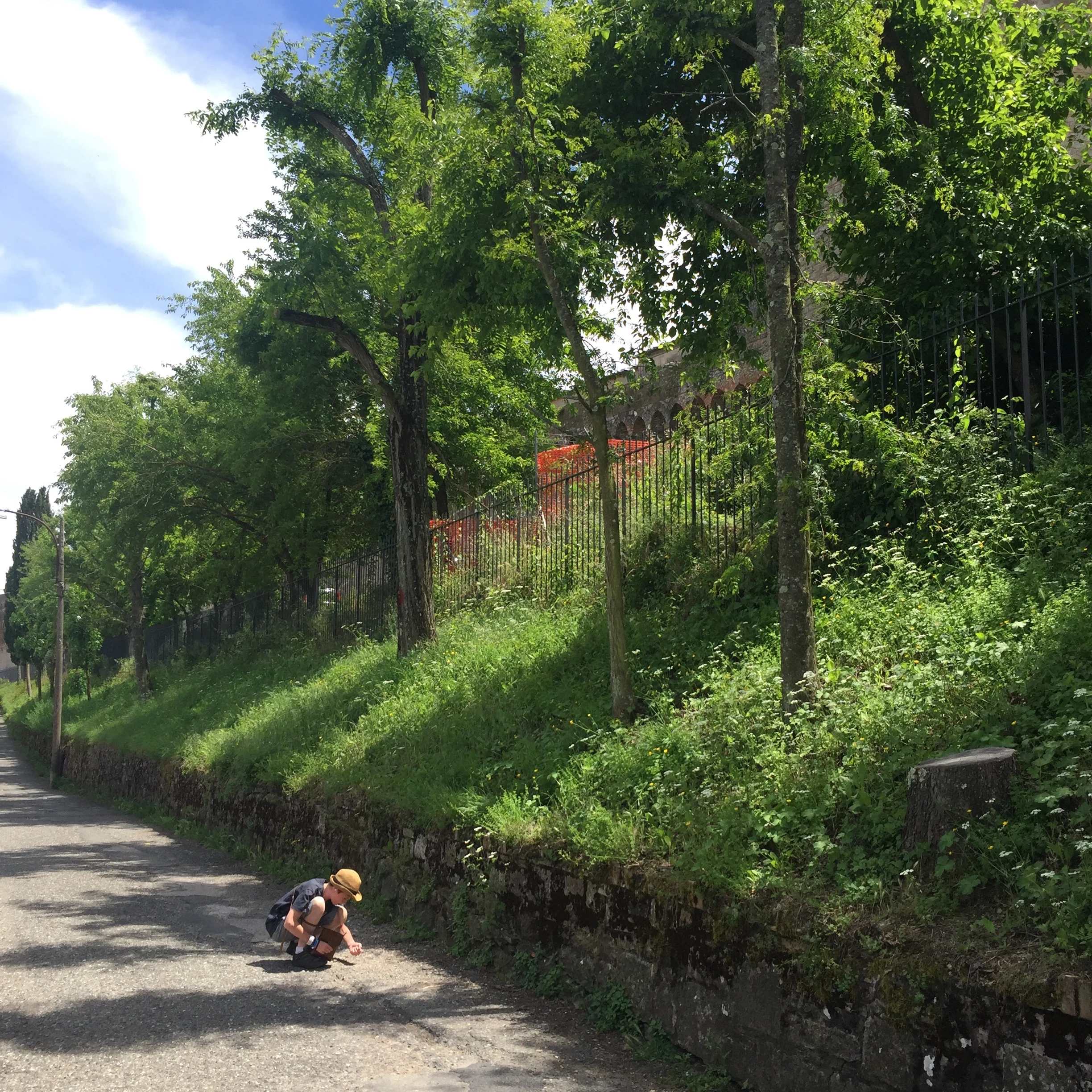 Dodge's pocket, Tuscany