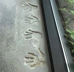 Cedardale-handprints.jpg