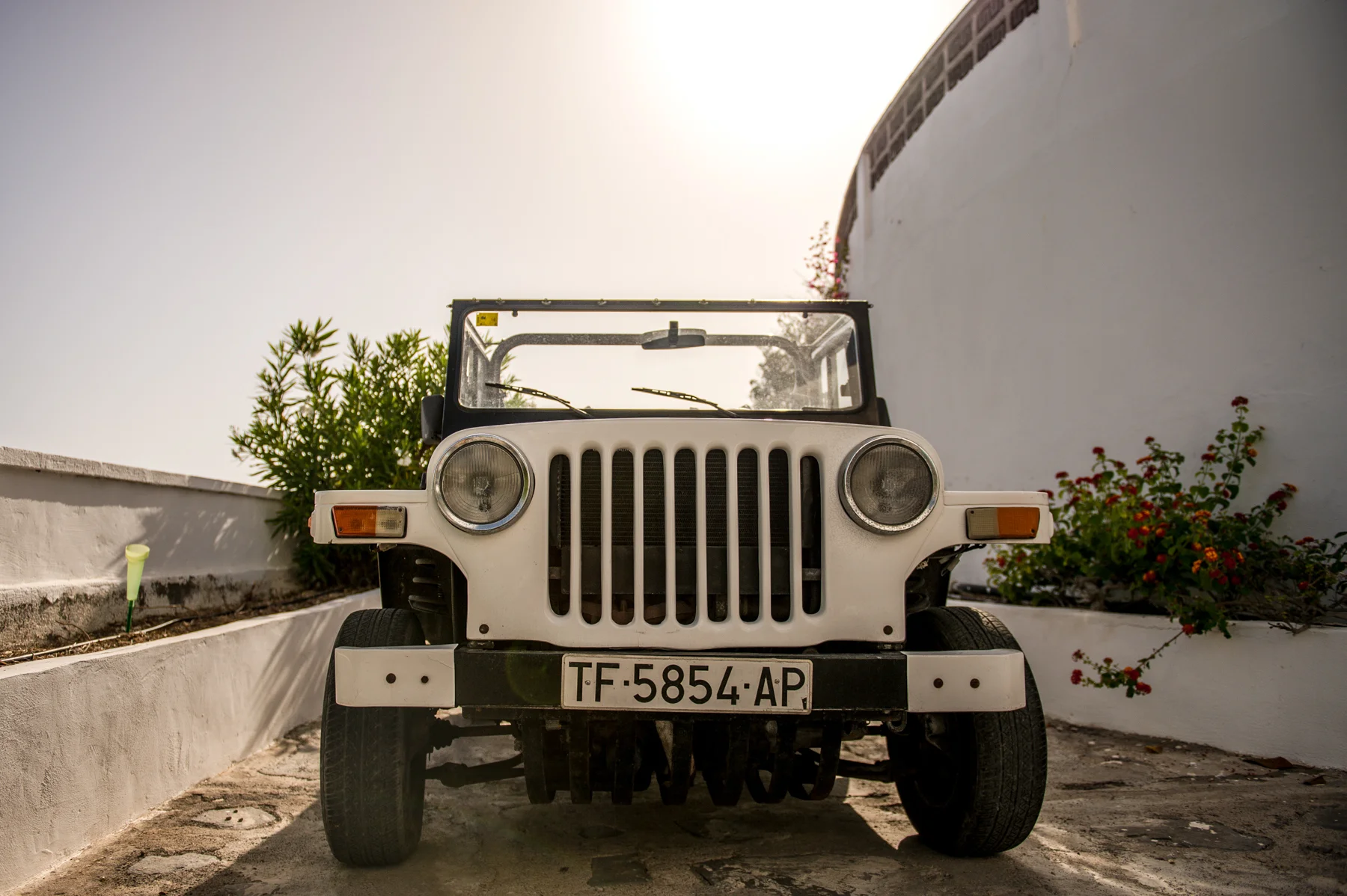 DSC_3747.jpg