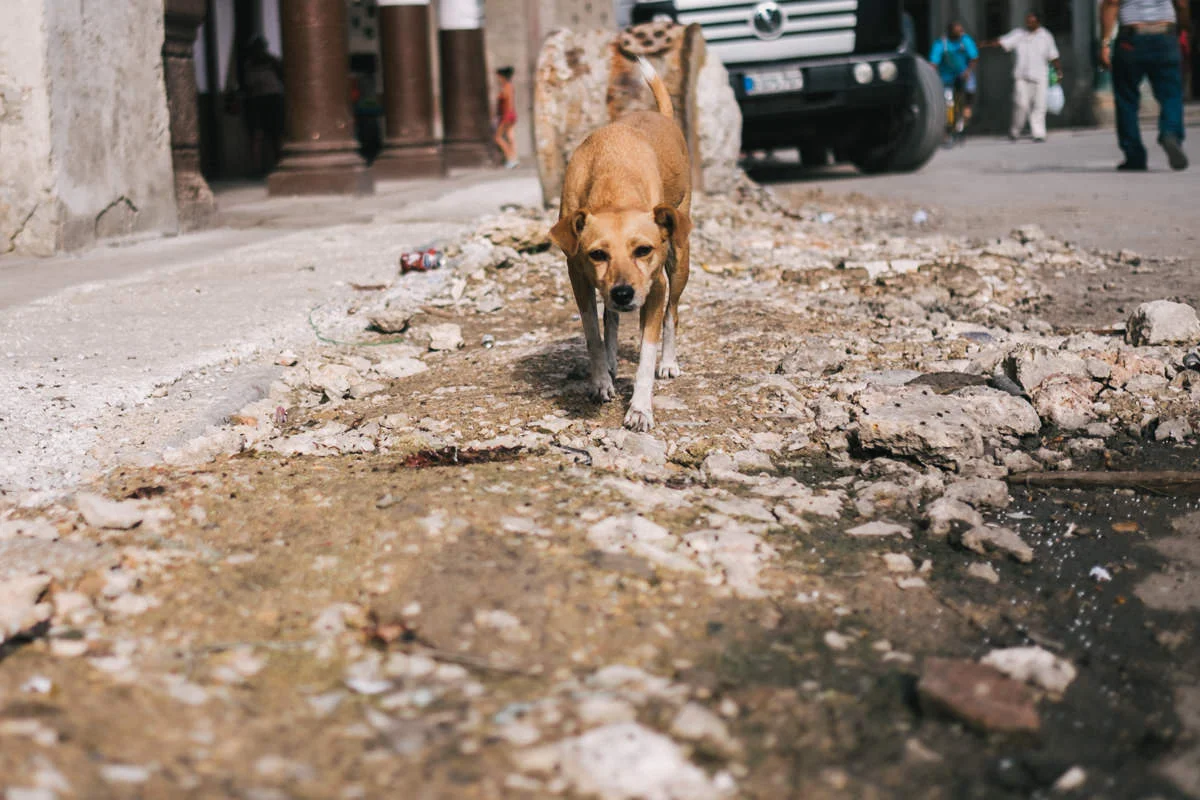 cuba2015-96.jpg
