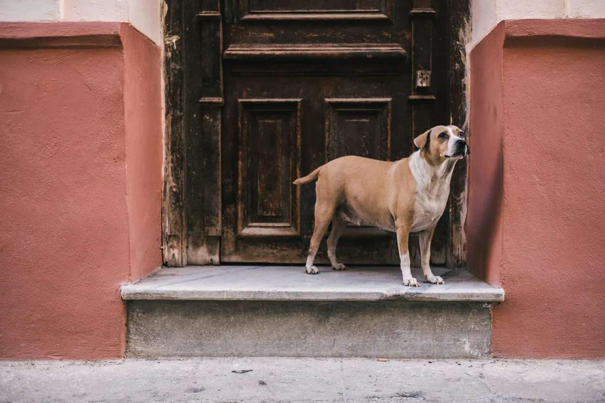 cuba2015-102.jpg