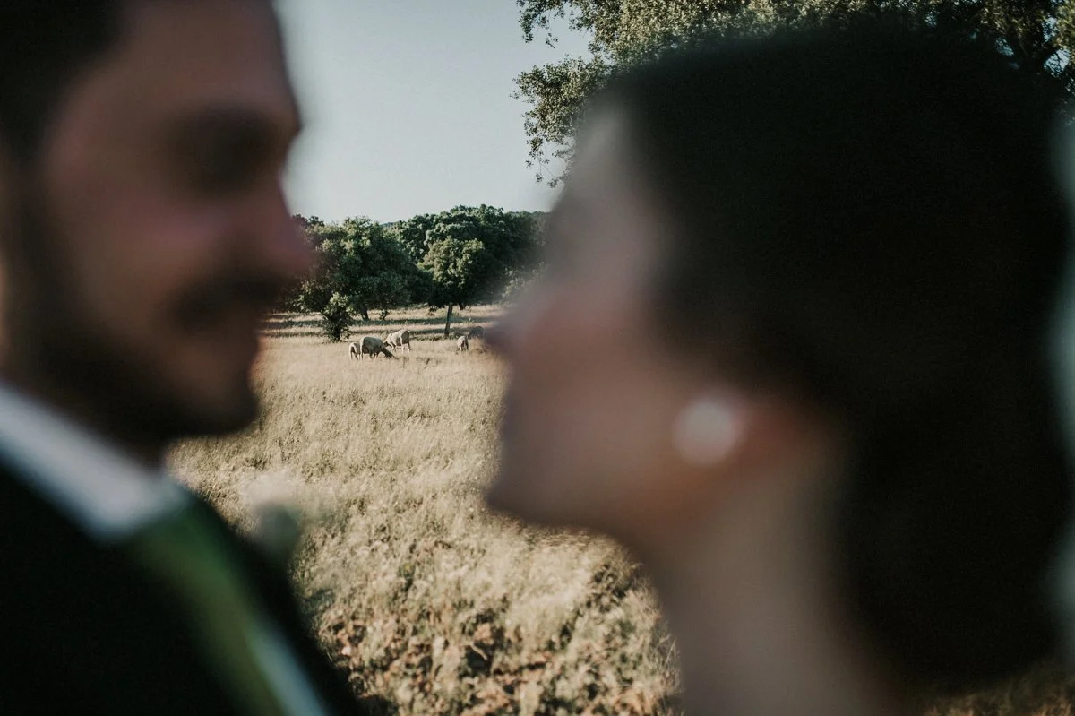 Beatriz&David_POST-78.jpg