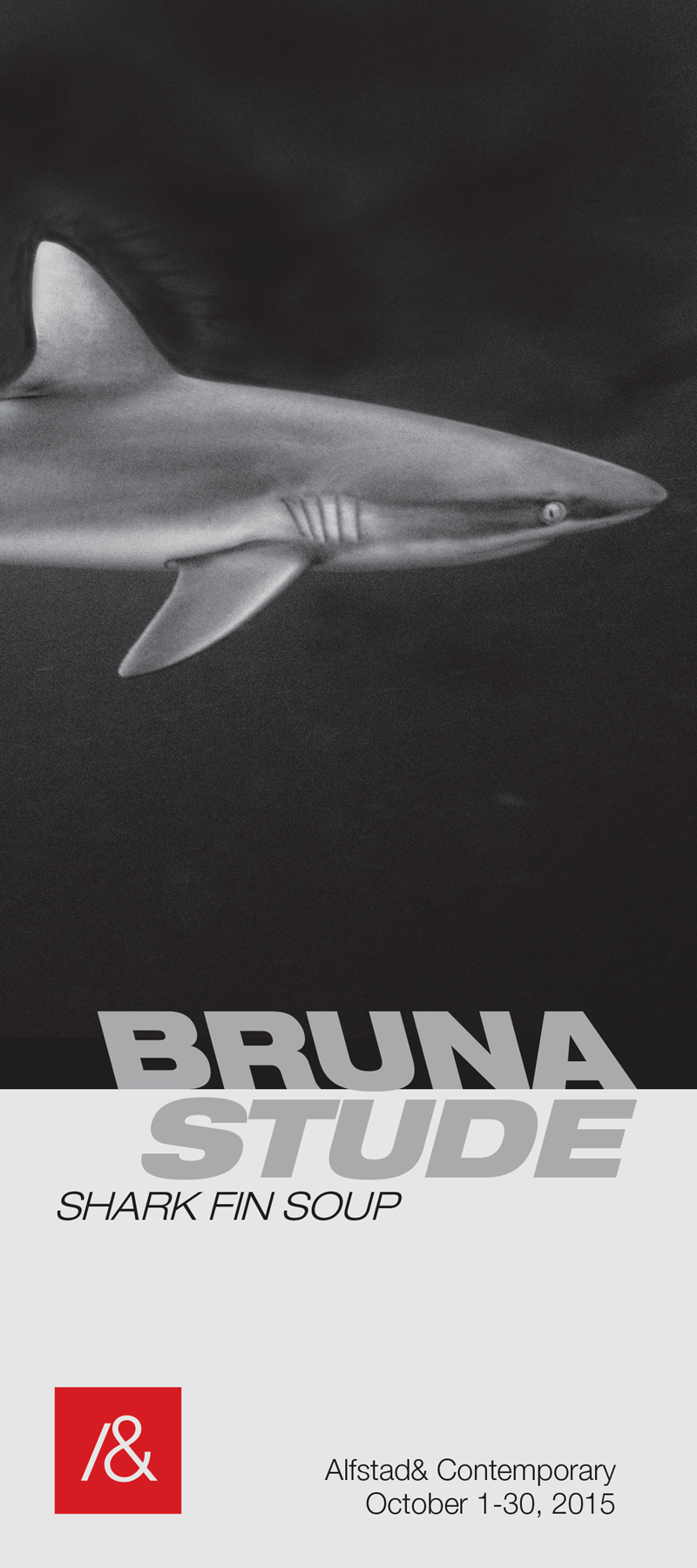 brune_stude_rackcard_f2-1.png