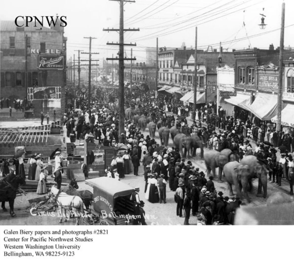 Holly Street Circus+Day+Parade.jpg