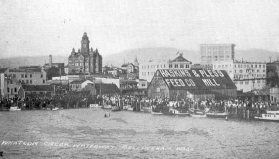 View of Bellingham Waterfront with “Haskins & Pless Feed Co Mill” Warehouse circa 1906