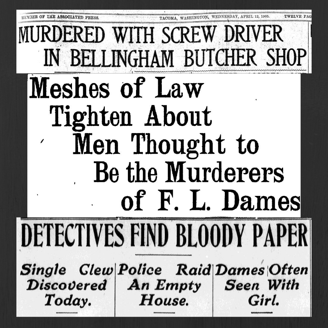 Dames Murder Headlines