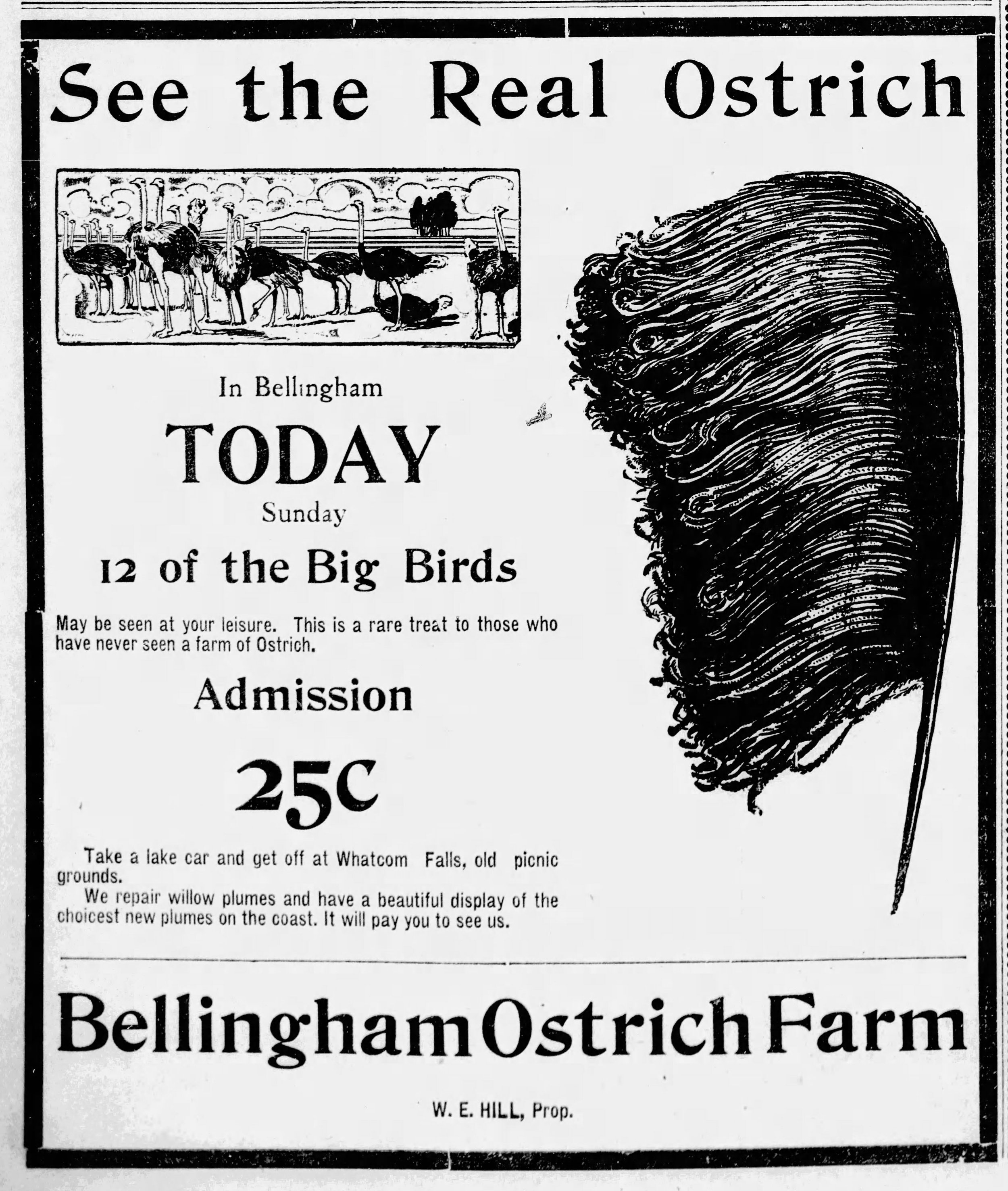 The_Bellingham_Herald_Sun__Apr_16__1911_.jpg