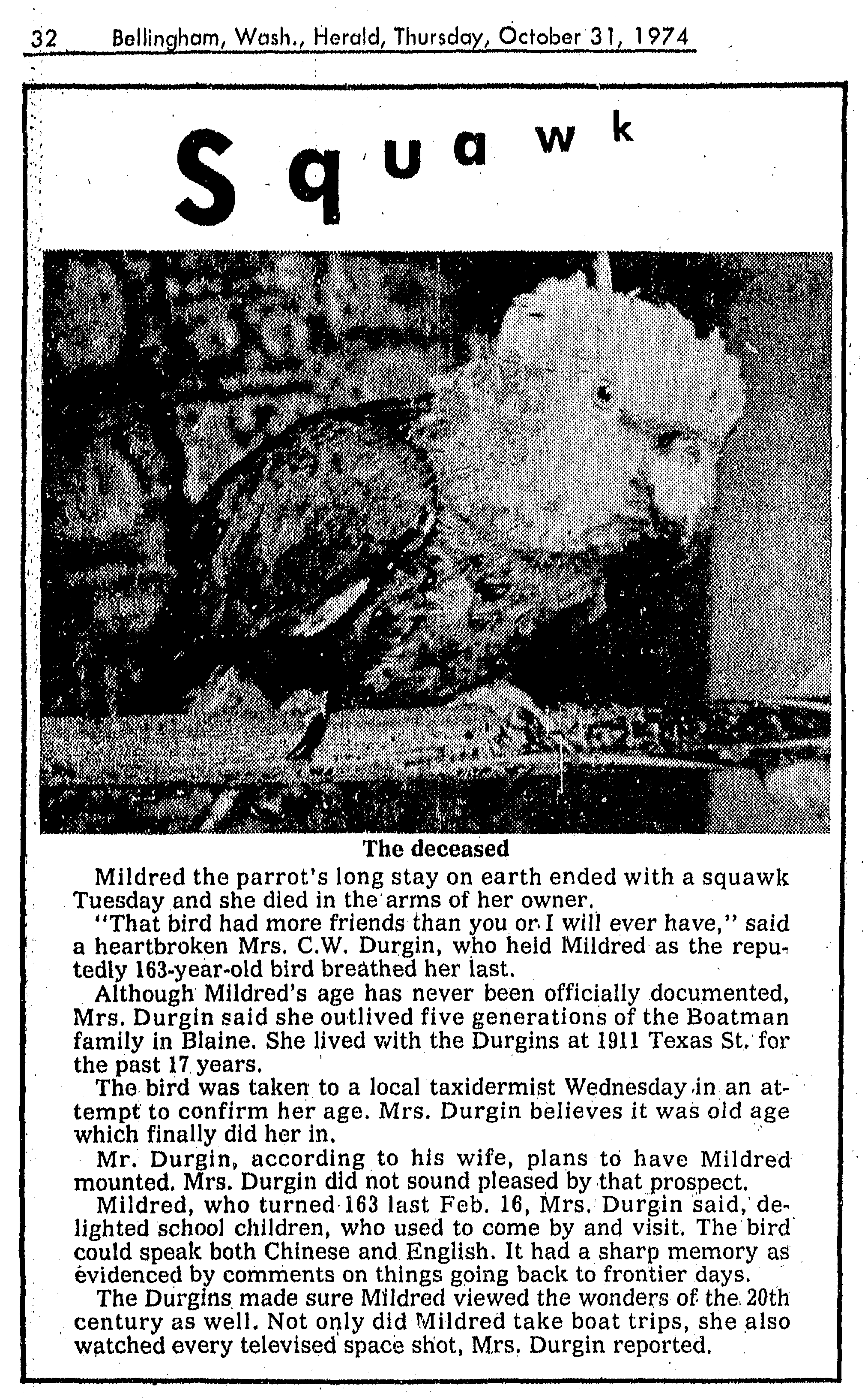 Squawk.  Obituary of Mildred the Parrot, Oct 31, 1974.