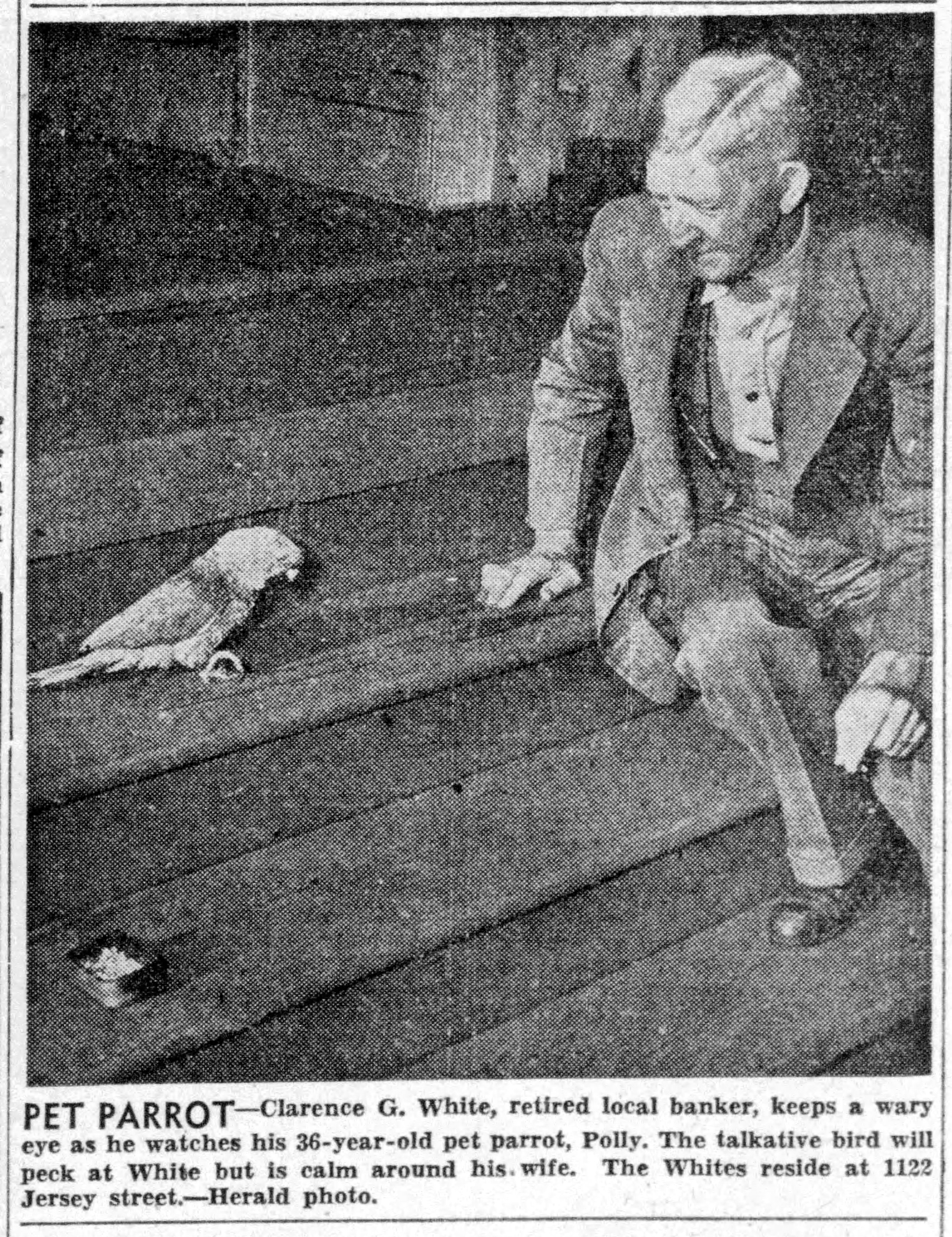 Pet Parrot - Polly with Clarence G. White, 1949