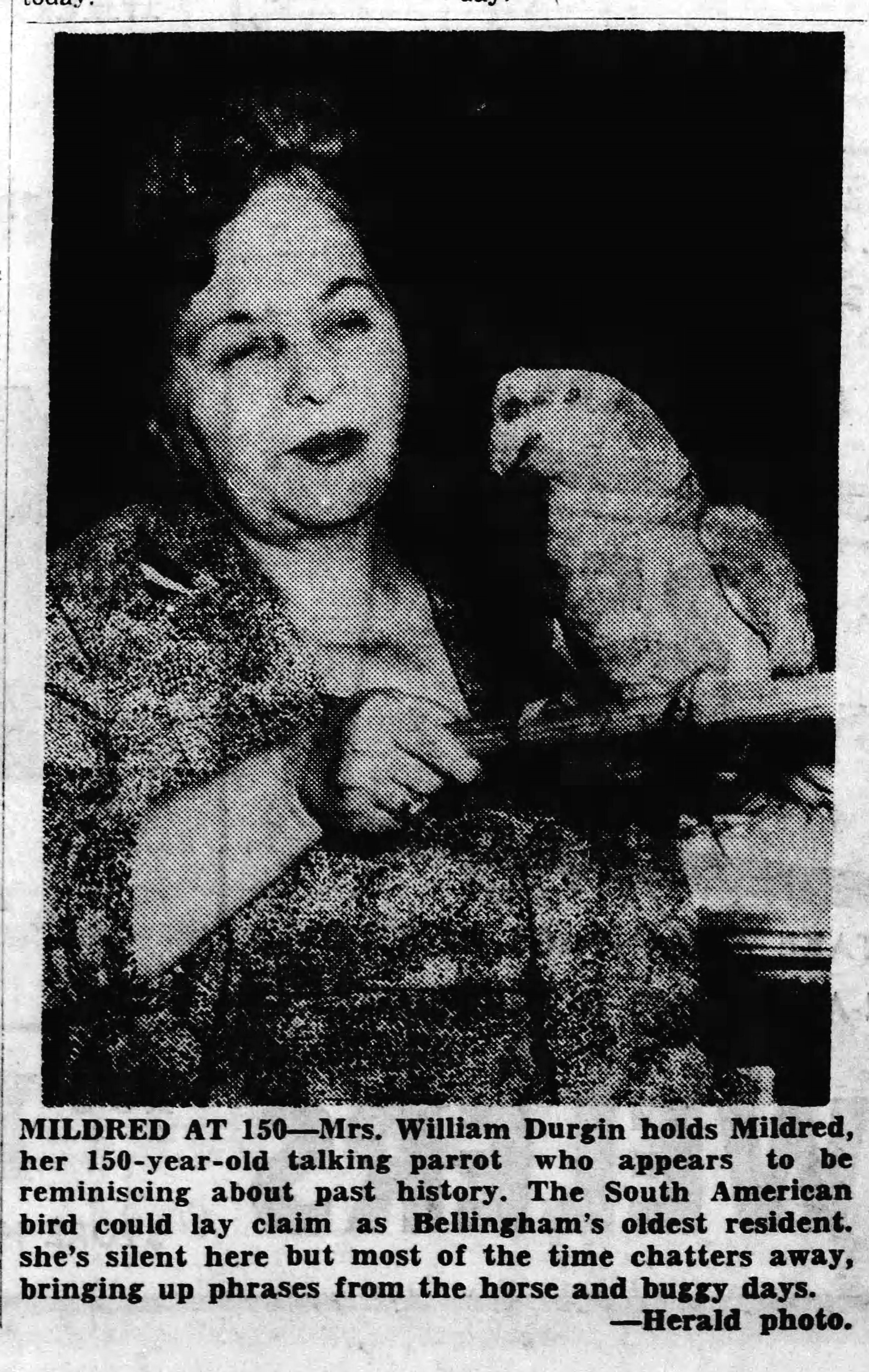 Mildred at 150.  Bellingham Herald April 25, 1963.