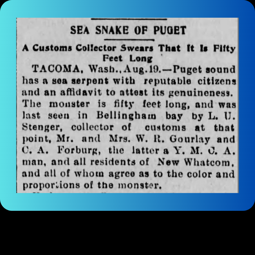 Sea Snake of Puget