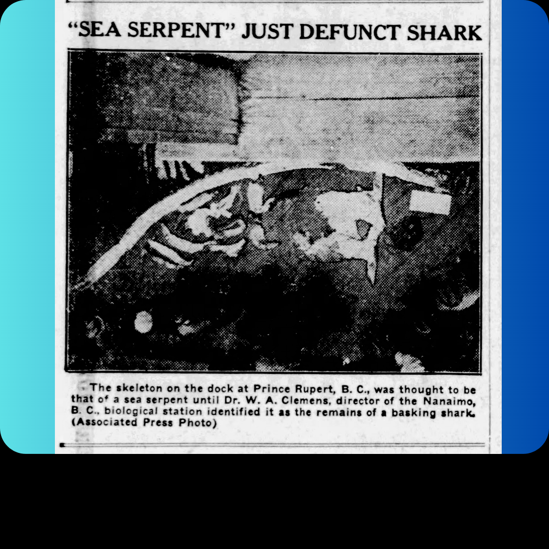 Defunct Shark, 1934