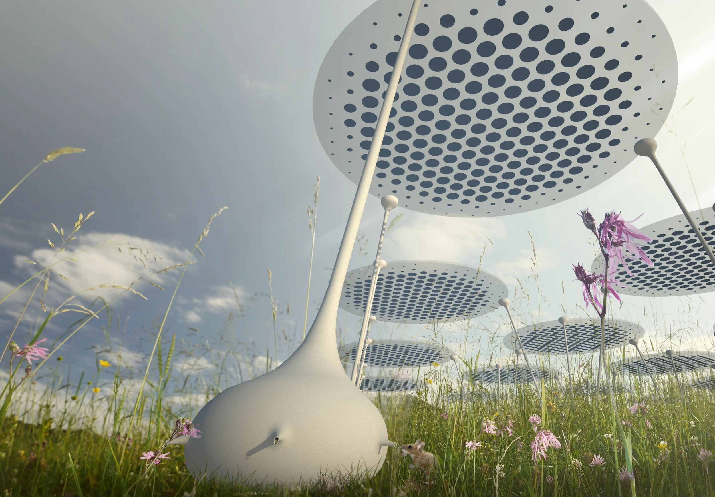 Worm's eye view final.jpg