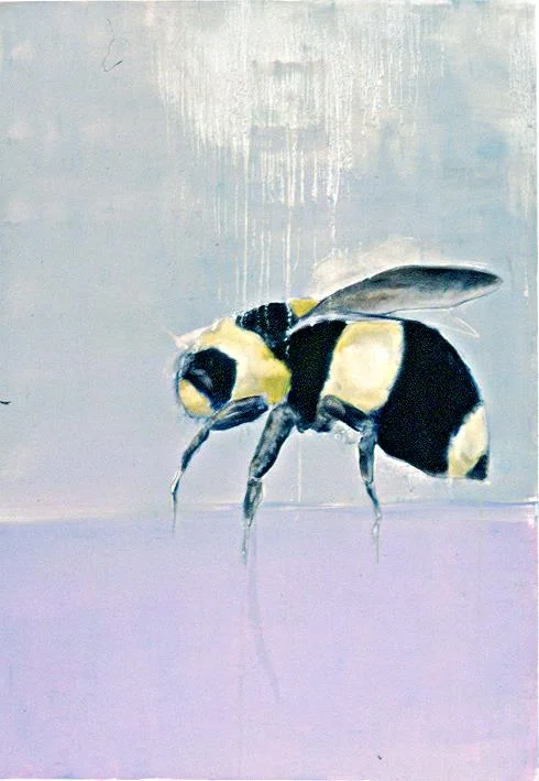 Bumble Bee on Pink
