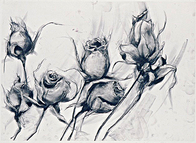 Black & White Roses #7