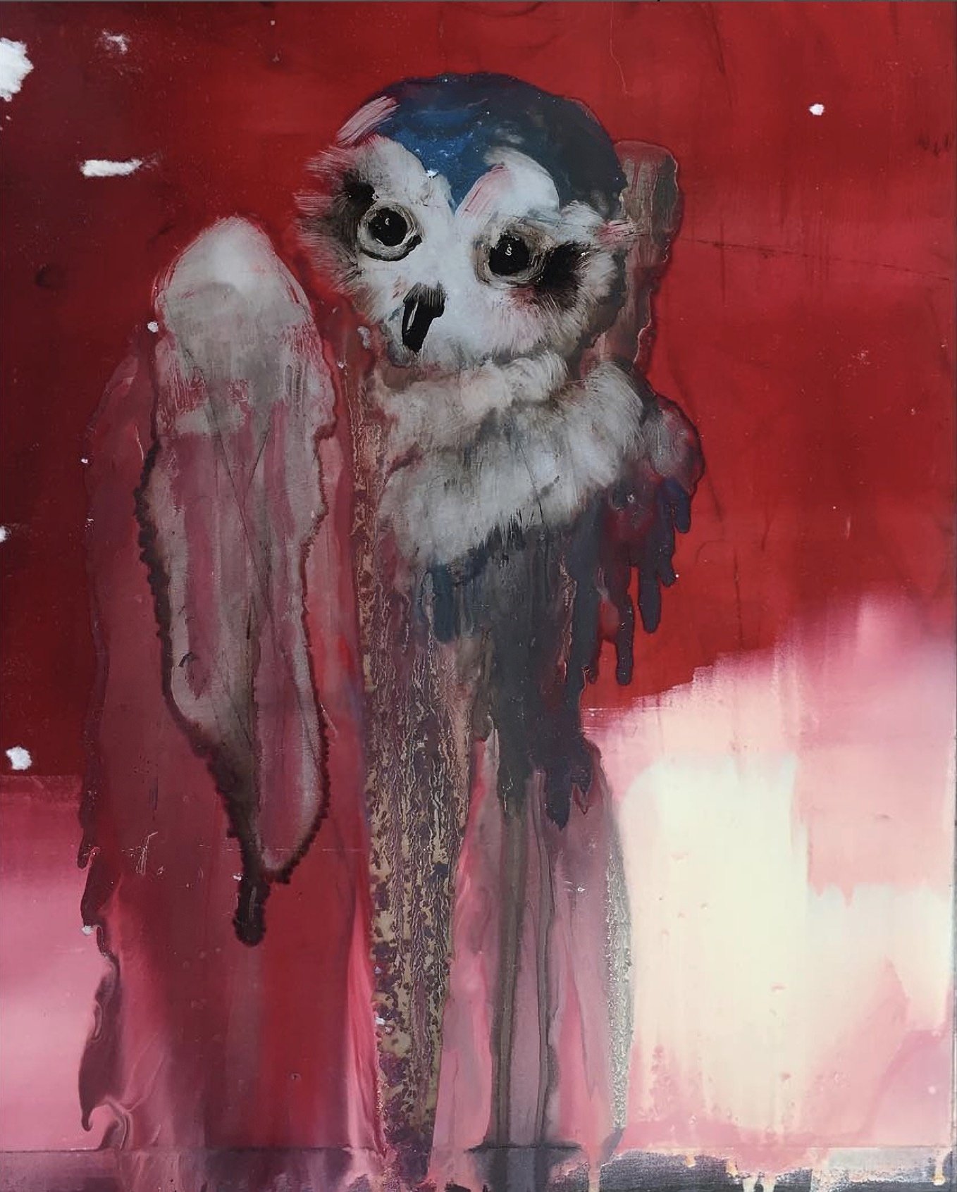 Little Owl, 15" x 22", oil on aluminum