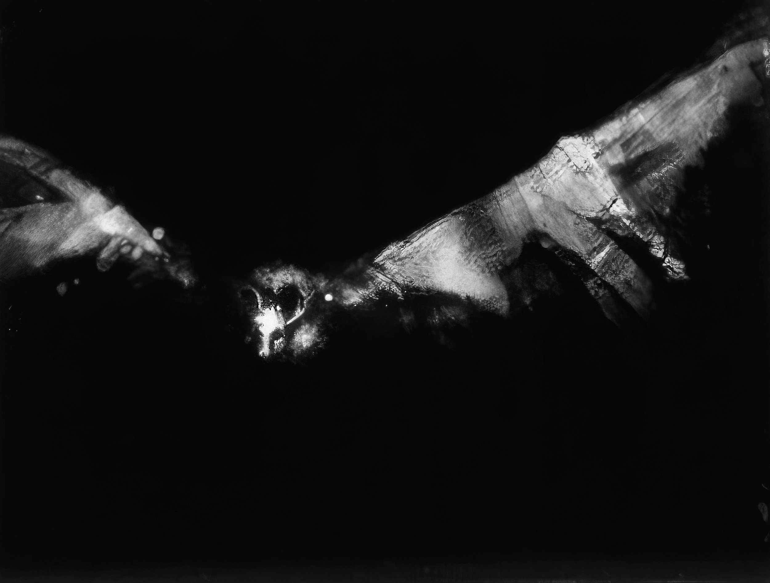 Flying Bat, 41" x 29", monotype on paper