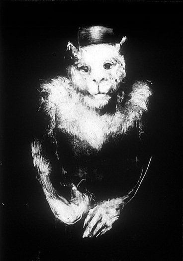 Hurdy Gurdy Monkey, 42" x 29", monotype on paper