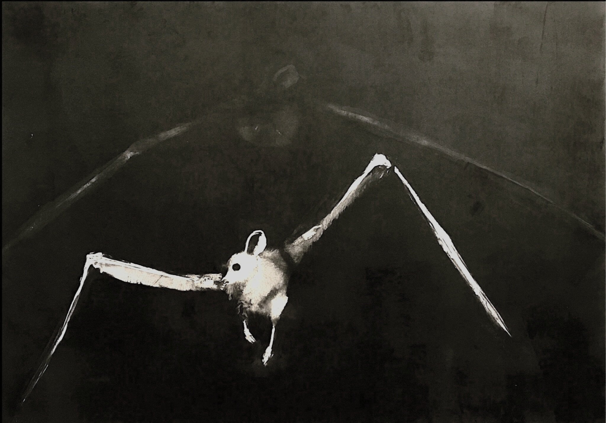 Flying Bats, 41" x 29" monotype on paper