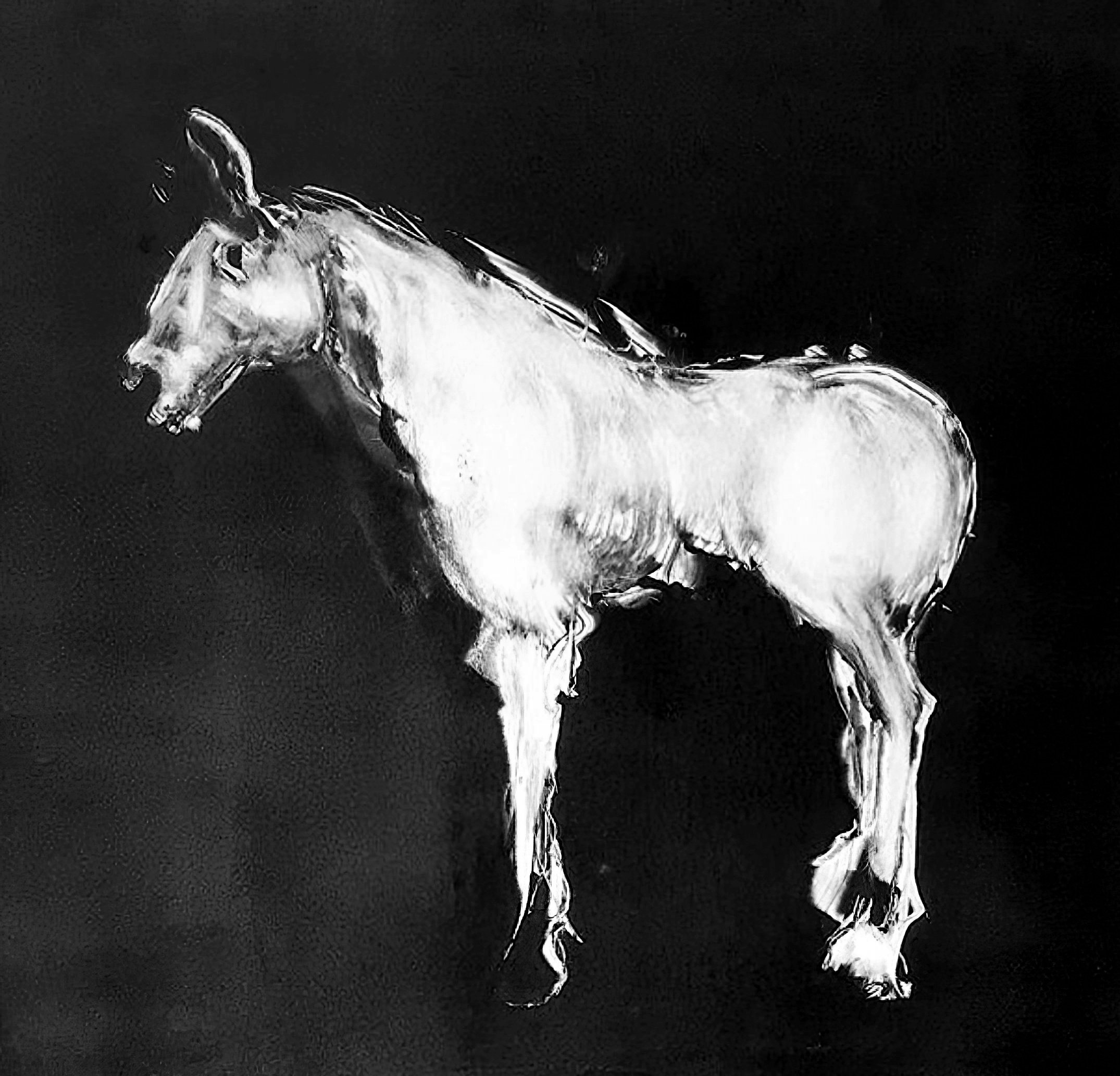 Little Pony, 20" x 20", monotype on paper