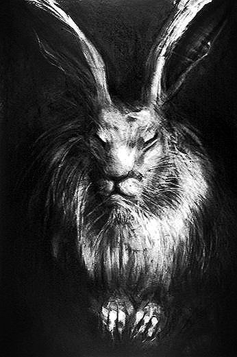 Rabbit # 13