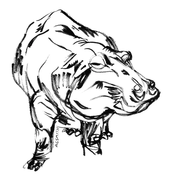 _1asmith+portrait+sketch+hippo1.jpg