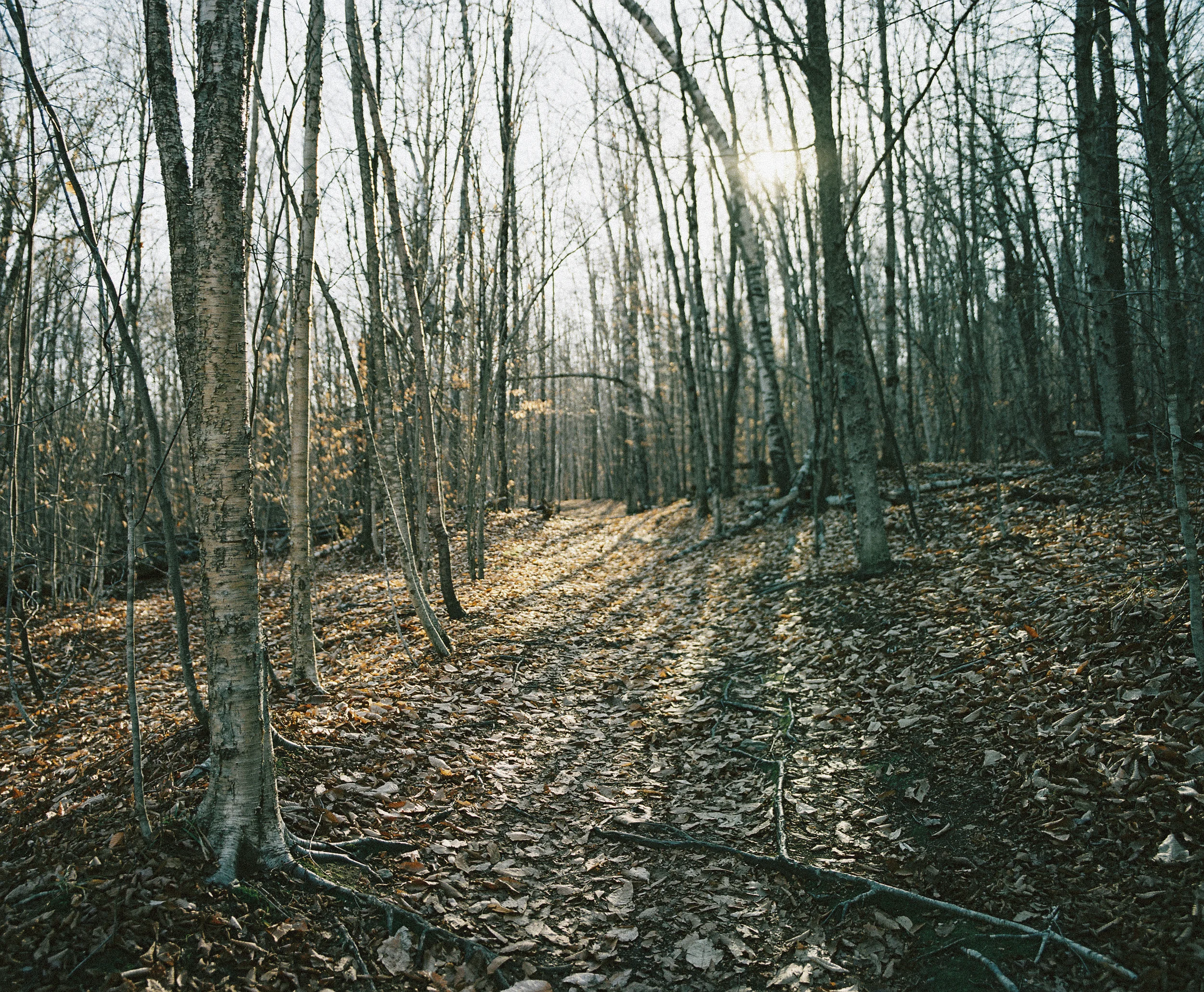 PORTRA400-008.jpg