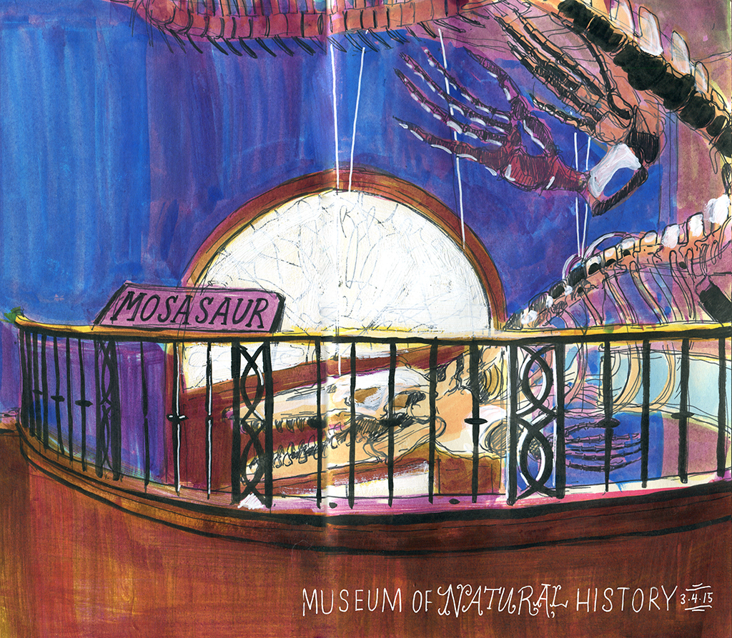 The Museum of Natural History 3/4/15
