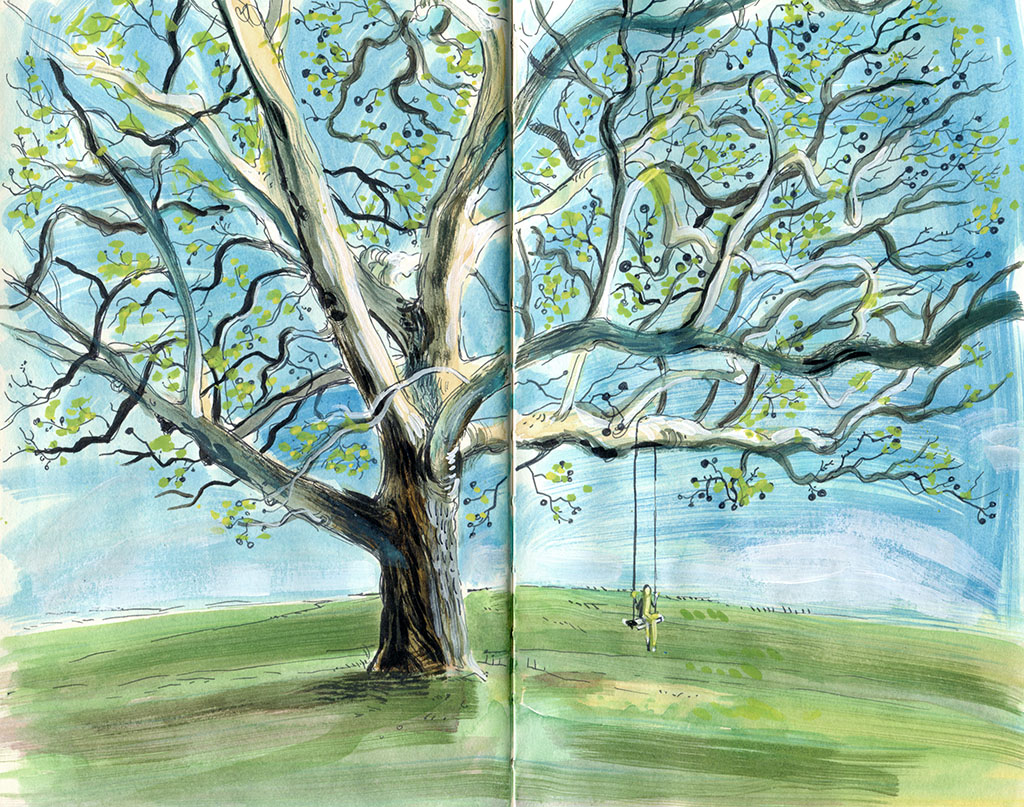 A sycamore tree I've been eyeing for a while