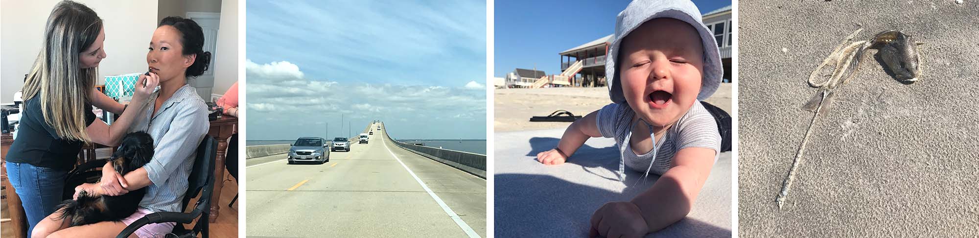 Baddeley_dauphinisland4.jpg