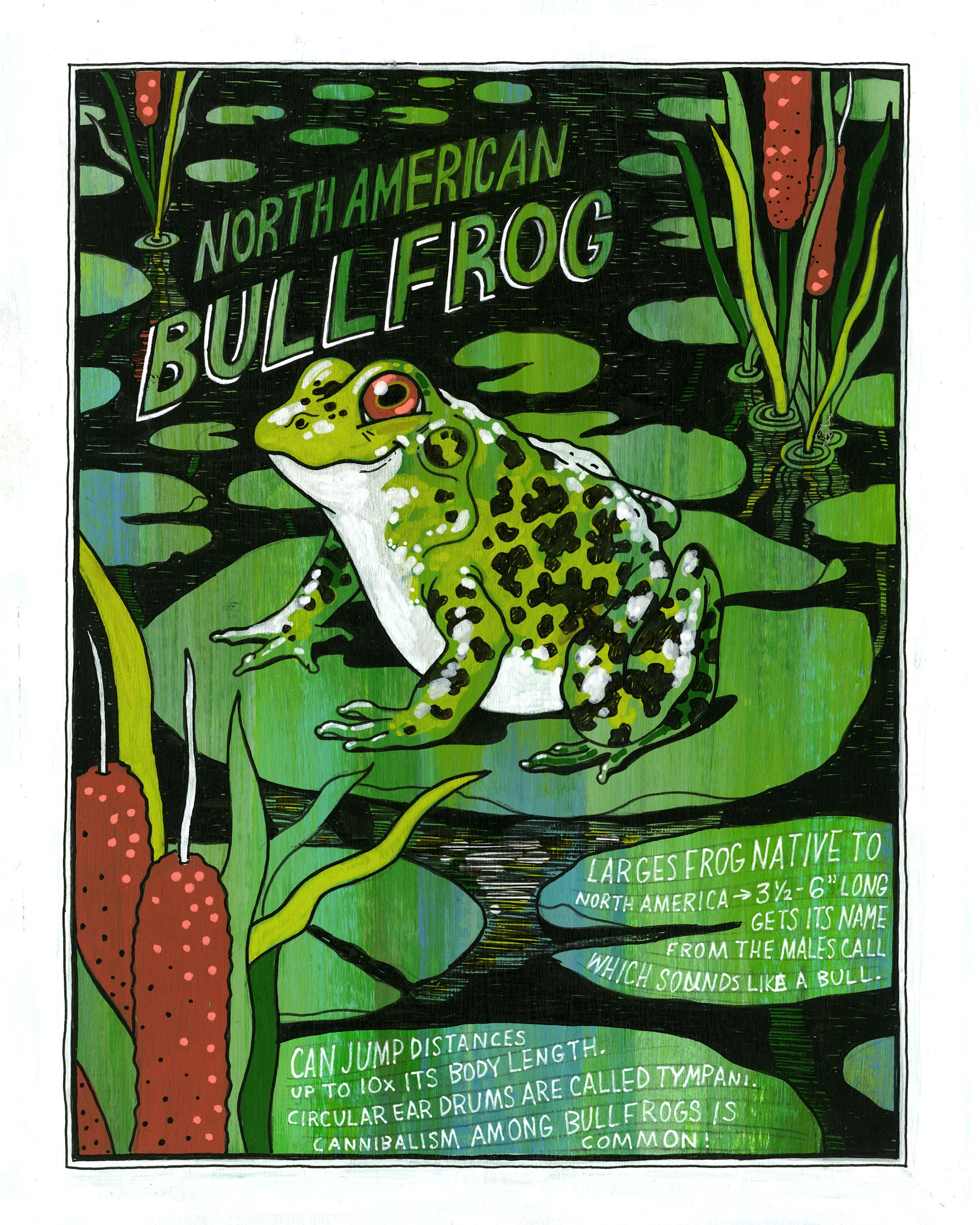 MissouriSymbols_frog.jpg