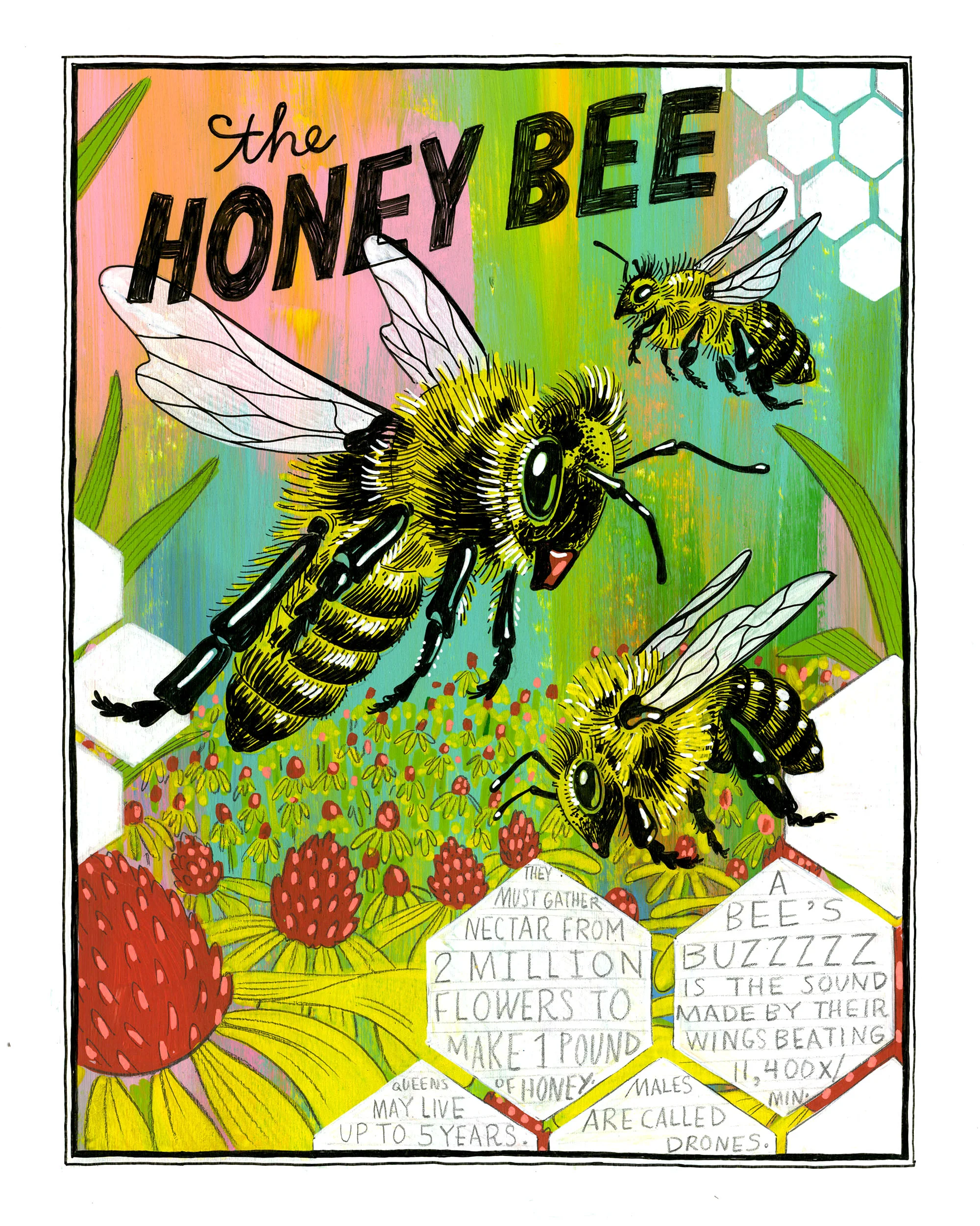 MissouriSymbols_bee.jpg