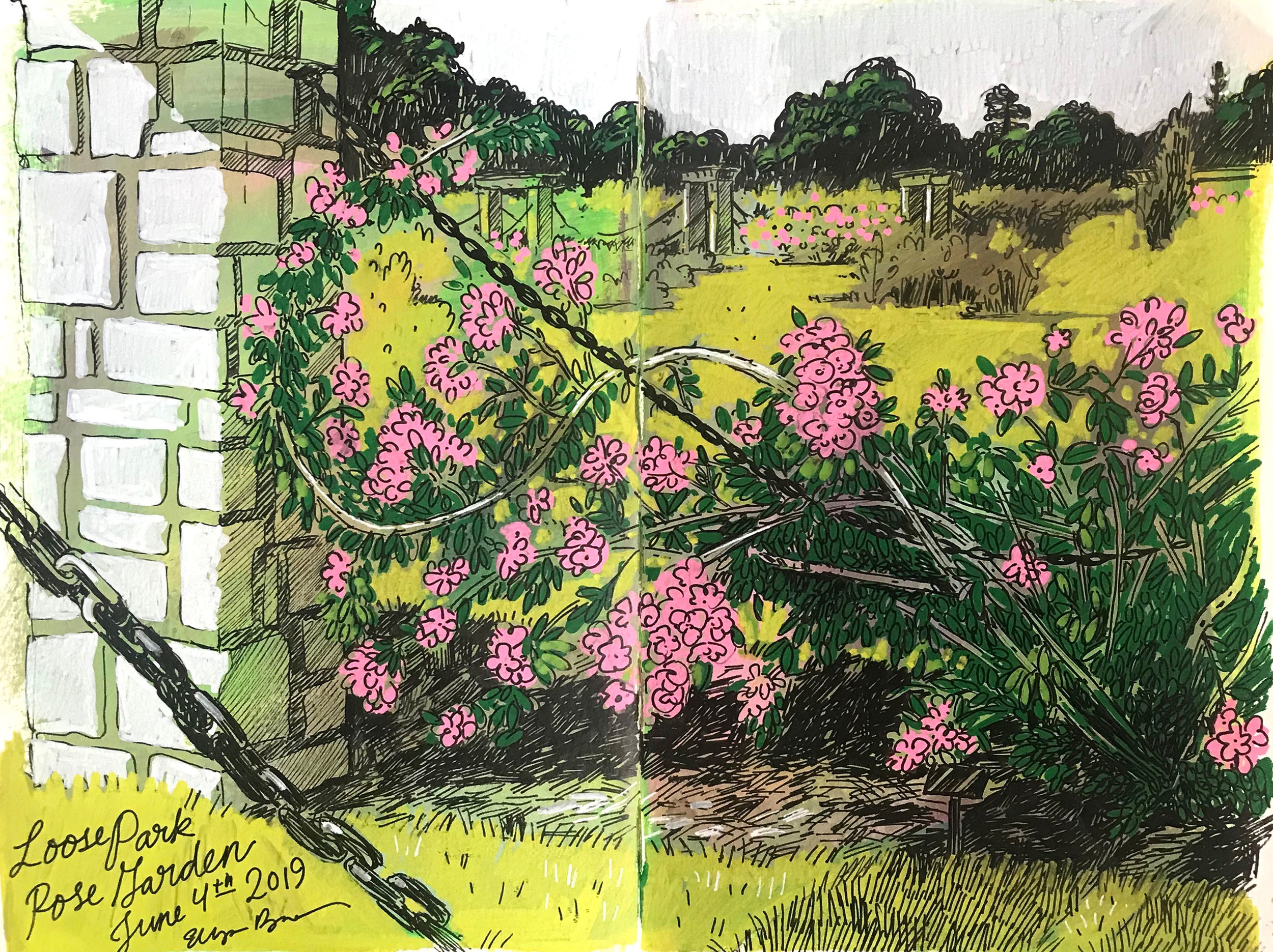 Sketchbook Loose Park Rose Garden Elizabeth Baddeley Illustration