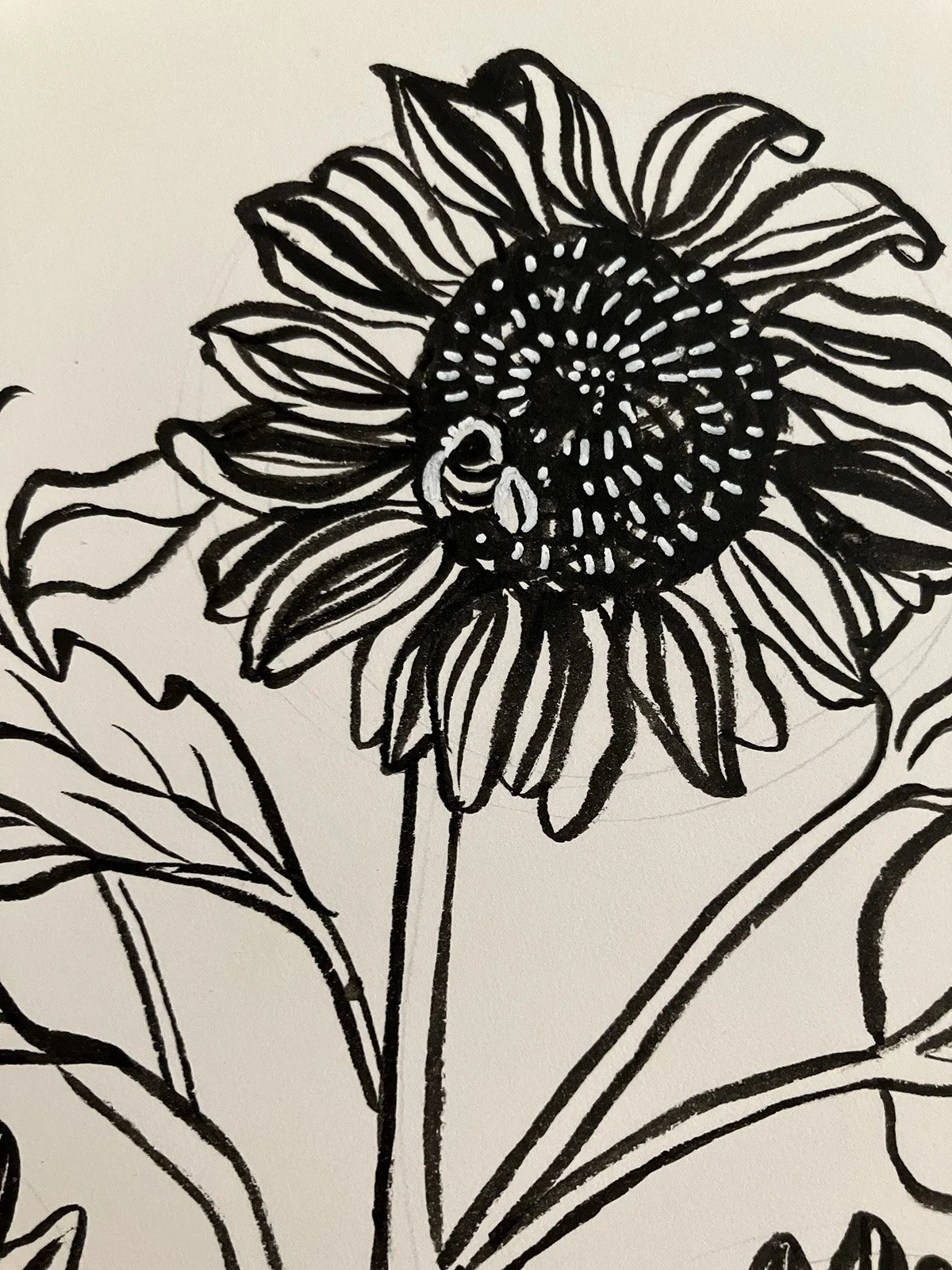 Florals_26.08.14_3.jpg