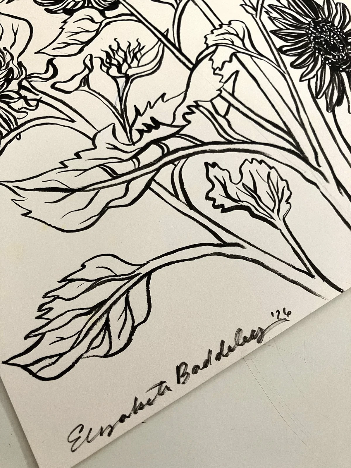 Florals_26.08.14_2.jpg