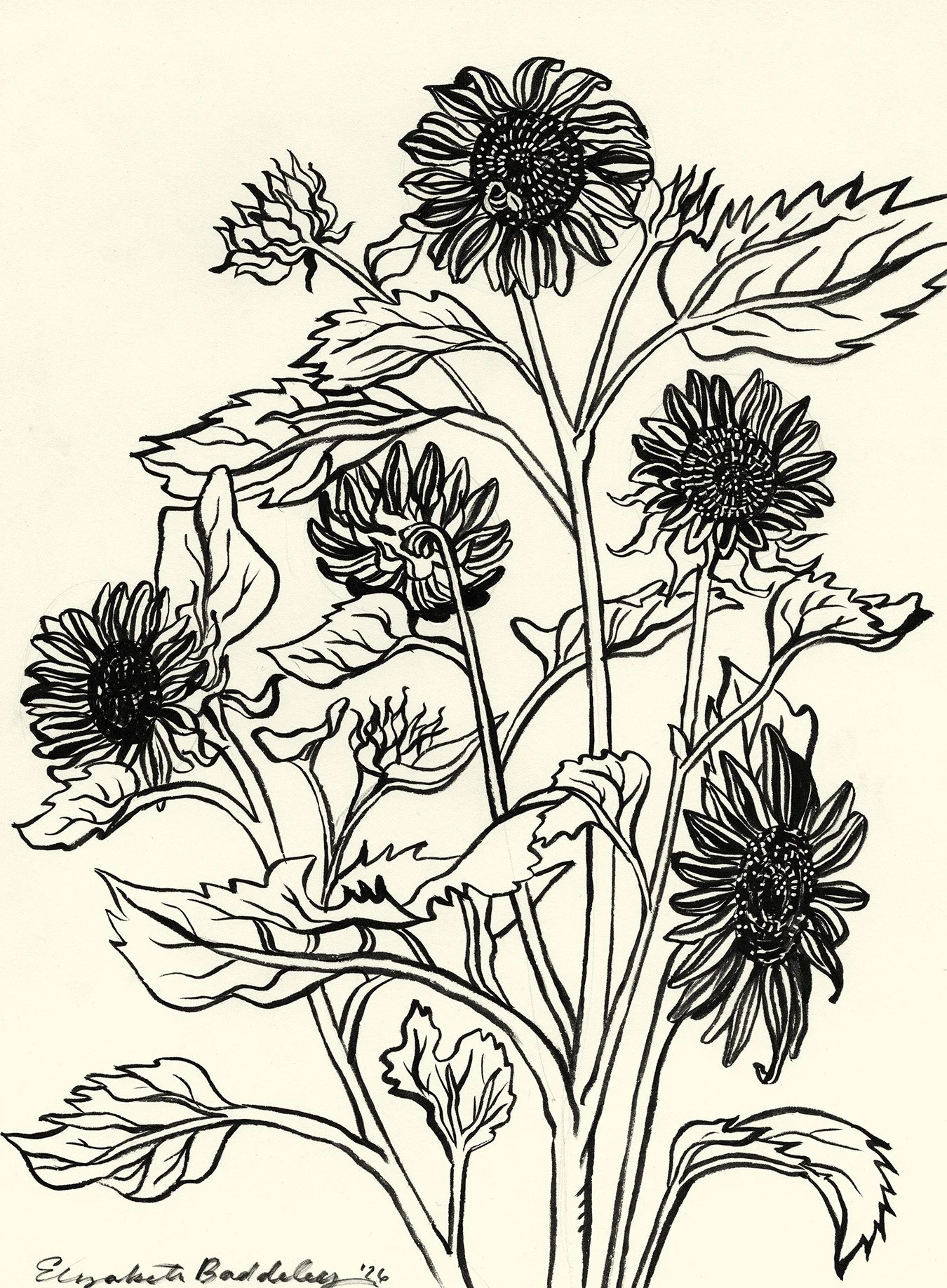 Florals_26.08.14_1.jpg