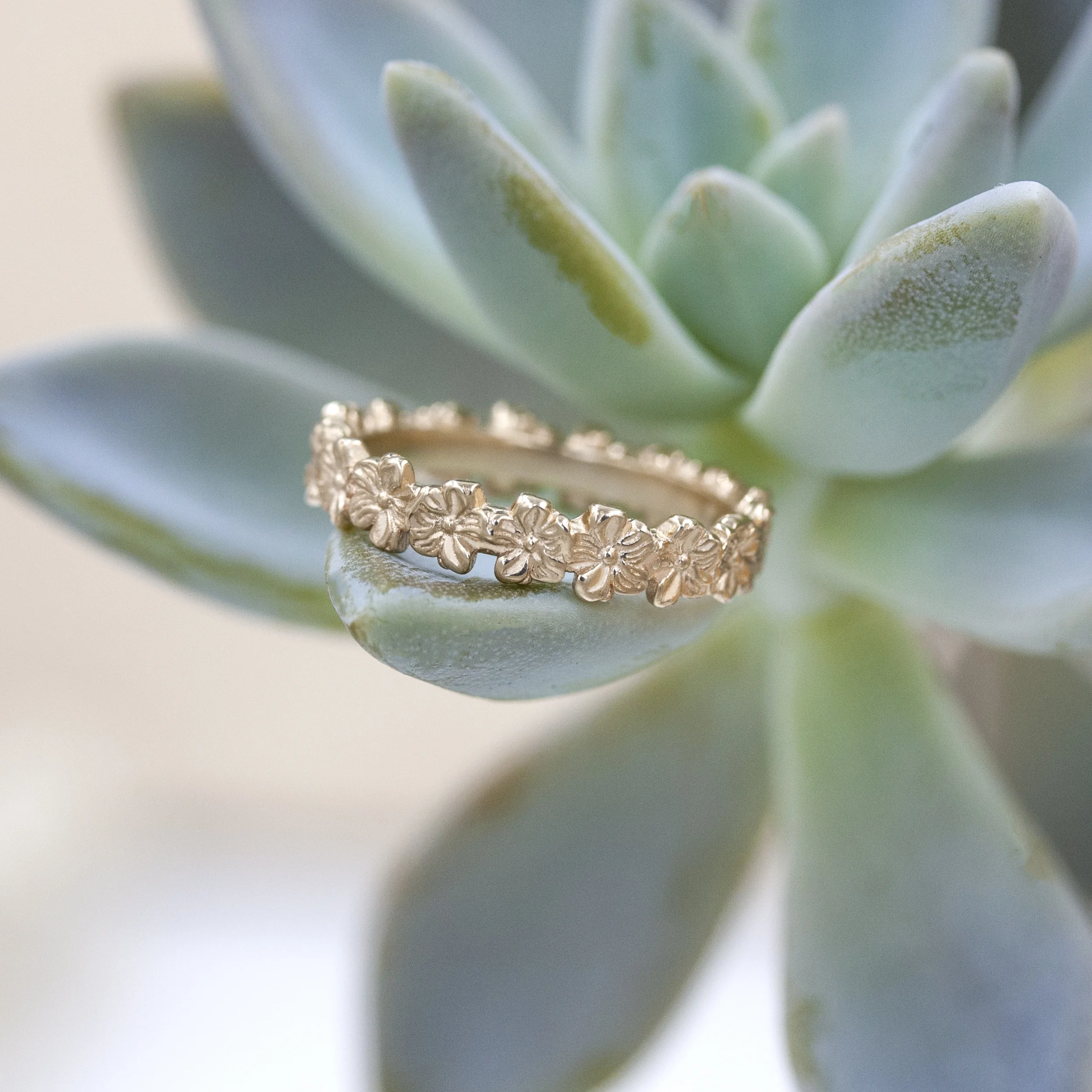 Violet Ring staged.jpg