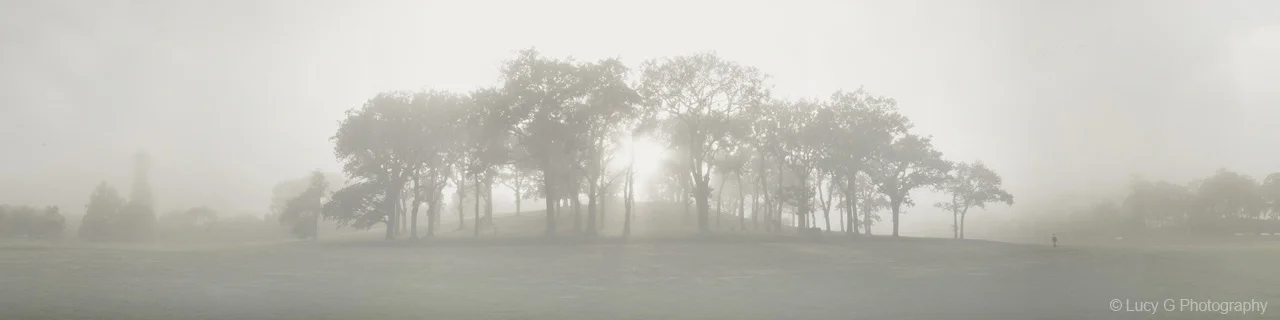'Domain Mist'