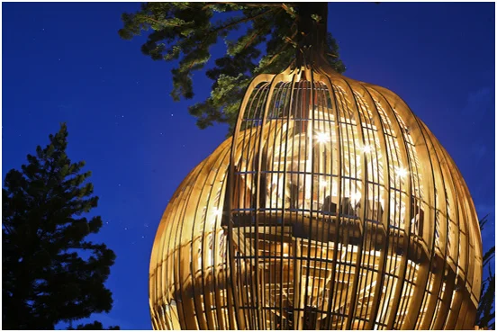 treehoues low res-11.jpg