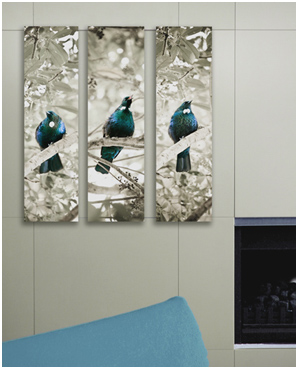 tui song marketing photos.jpg